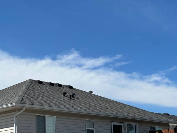 Best Asphalt Shingle Roofing  in Woodmore, MD